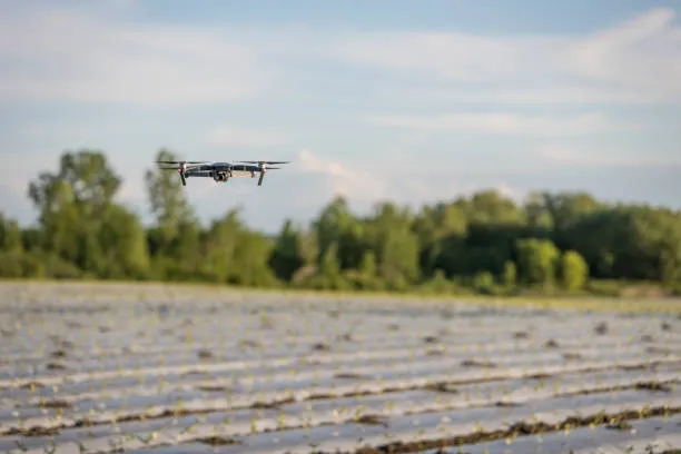 Урбанистика